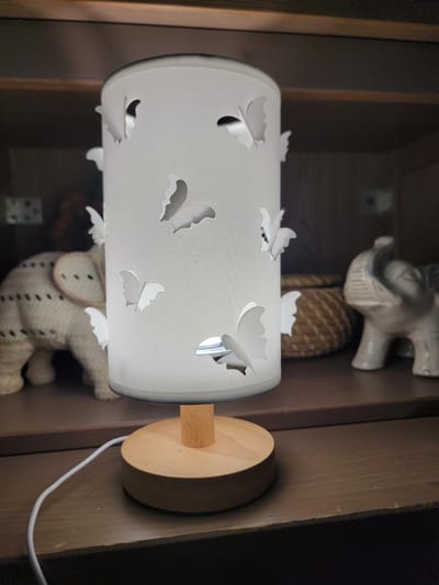 3D Butterfly Cute Princess Lamp_img_10