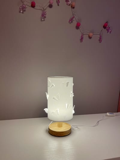 3D Butterfly Cute Princess Lamp_img_11