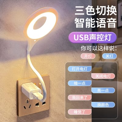 Voice Control USB Direct Plug Portable Lamp Led Desk Lamp_img_8